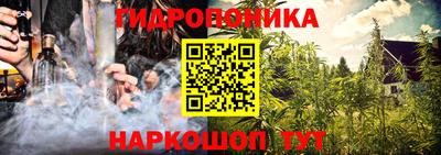дмт Будённовск